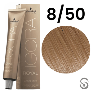 Schwarzkopf Igora Absolutes Coloração 8/50 Louro Claro Dourado Natural 60ml